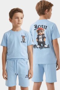 Icon zomerset hemelsblauw