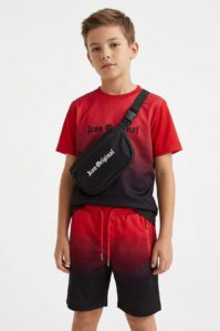 Icon zomerset rood zwart